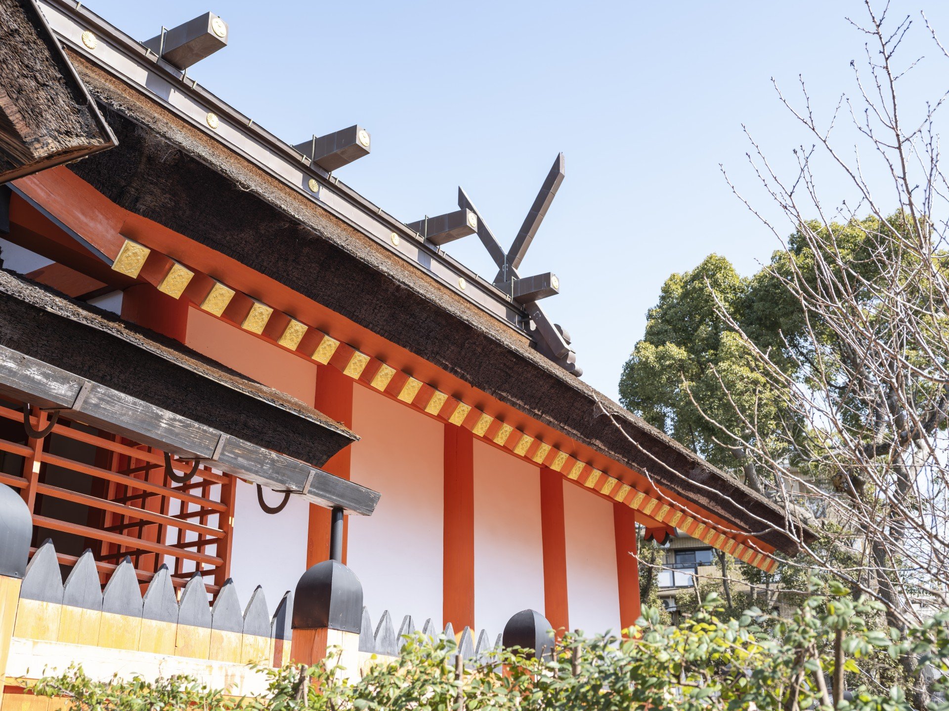 朱塗りの柱と白壁の本殿。屋根に千木と鰹木
