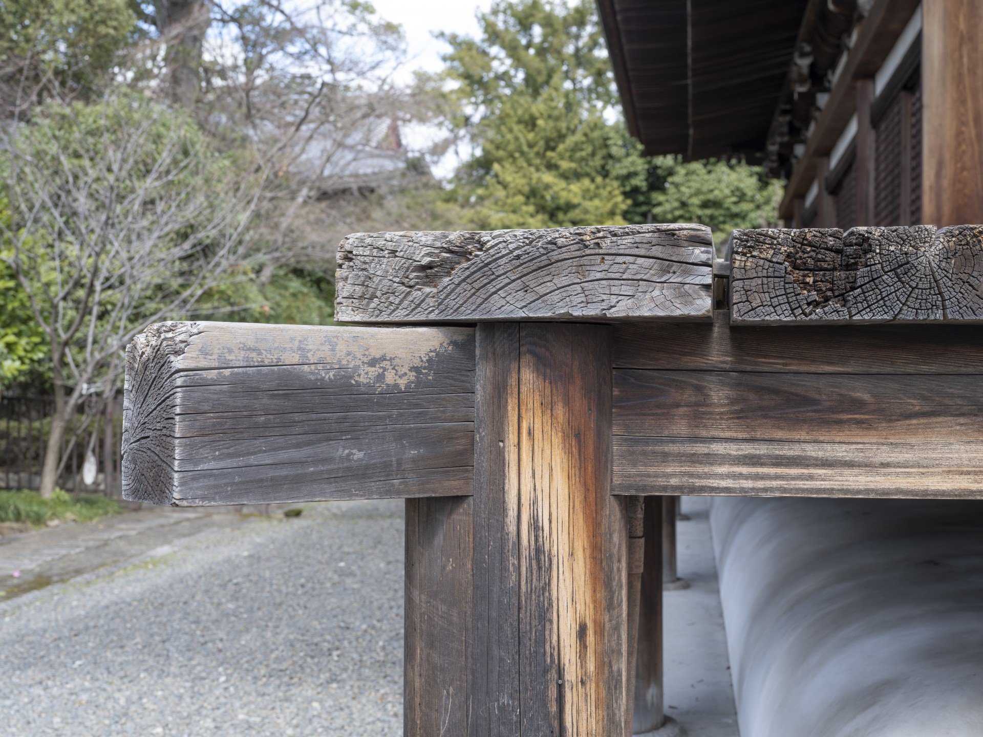 斜めから見た本堂。檜皮葺の大屋根と縁