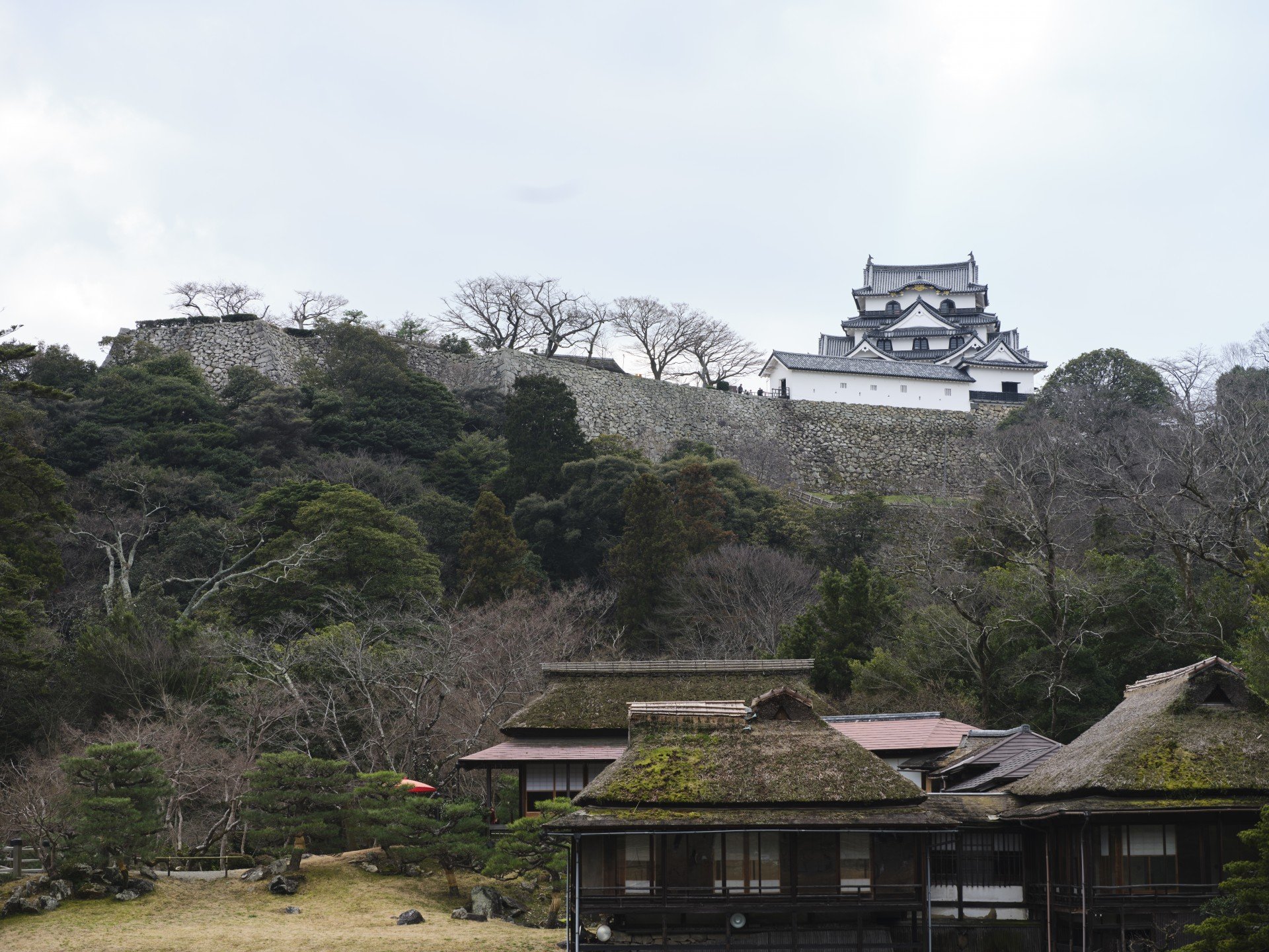 庭園の建物と木立の先、丘の上に建つ天守